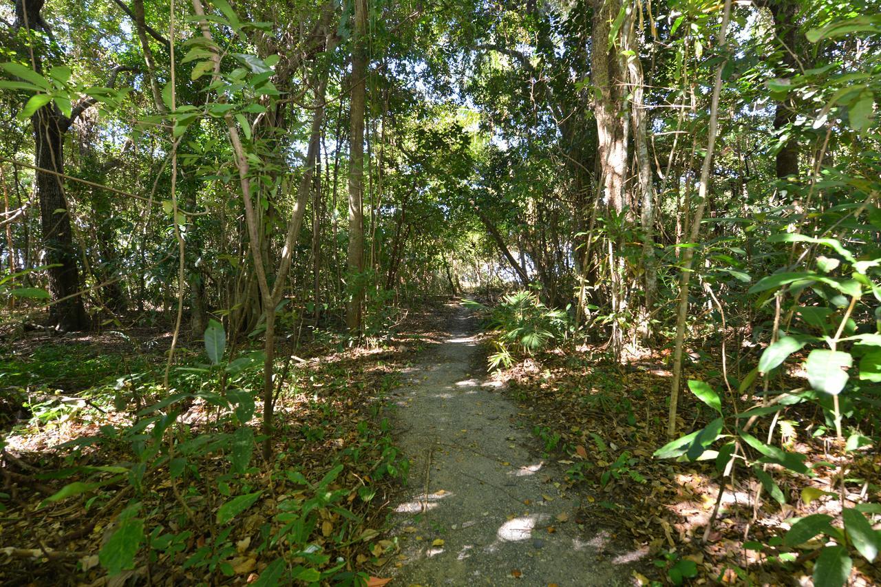Villa Frangipani Port Douglas Eksteriør bilde